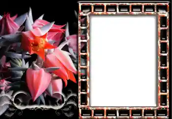 Photo effect from category Women's photo frames № 241 Photo effect from category Women's photo frames № 241