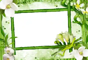 Photo effect from category Women's photo frames № 24470