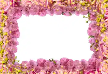 Photo effect from category Women's photo frames № 244 Photo effect from category Women's photo frames № 244