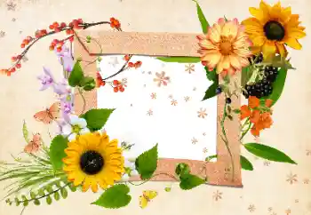 Photo effect from category Women's photo frames № 24511