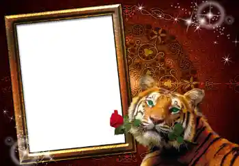 Photo effect from category Women's photo frames № 251 Photo effect from category Women's photo frames № 251