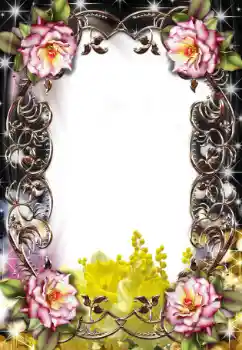 Photo effect from category Women's photo frames № 25479