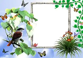 Photo effect from category Women's photo frames № 255 Photo effect from category Women's photo frames № 255