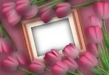 Photo effect from category Women's photo frames № 2610 Photo effect from category Women's photo frames № 2610