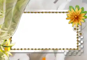 Photo effect from category Women's photo frames № 264