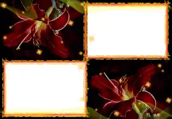 Photo effect from category Women's photo frames № 27702 Photo effect from category Women's photo frames № 27702