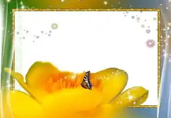 Photo effect from category Women's photo frames № 278