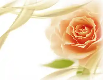 Photo effect from category Women's photo frames № 2801 Photo effect from category Women's photo frames № 2801