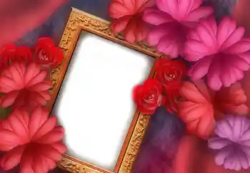 Photo effect from category Women's photo frames № 2919 Photo effect from category Women's photo frames № 2919