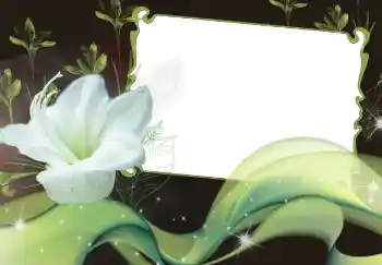 Photo effect from category Women's photo frames № 2920 Photo effect from category Women's photo frames № 2920