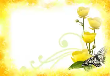 Photo effect from category Women's photo frames № 2921 Photo effect from category Women's photo frames № 2921