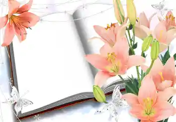 Photo effect from category Women's photo frames № 2985 Photo effect from category Women's photo frames № 2985