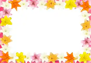 Photo effect from category Women's photo frames № 2989 Photo effect from category Women's photo frames № 2989