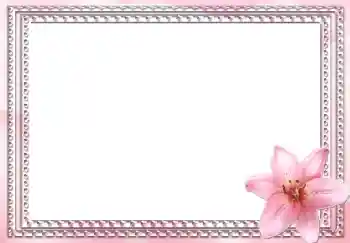 Photo effect from category Women's photo frames № 2991 Photo effect from category Women's photo frames № 2991