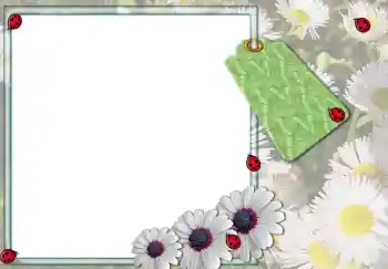 Photo effect from category Women's photo frames № 3103 Photo effect from category Women's photo frames № 3103