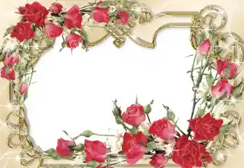 Photo effect from category Women's photo frames № 31765 Photo effect from category Women's photo frames № 31765
