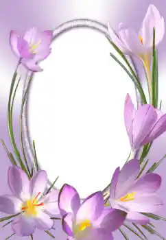 Photo effect from category Women's photo frames № 31786 Photo effect from category Women's photo frames № 31786