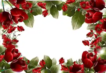 Photo effect from category Women's photo frames № 31814 Photo effect from category Women's photo frames № 31814