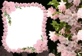 Photo effect from category Women's photo frames № 31824 Photo effect from category Women's photo frames № 31824