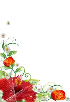 Photo effect from category Women's photo frames № 31839 Photo effect from category Women's photo frames № 31839