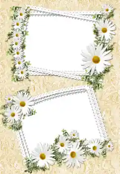 Photo effect from category Women's photo frames № 32693 Photo effect from category Women's photo frames № 32693