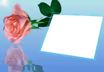 Photo effect from category Women's photo frames № 32721 Photo effect from category Women's photo frames № 32721