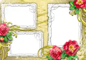 Photo effect from category Women's photo frames № 32840