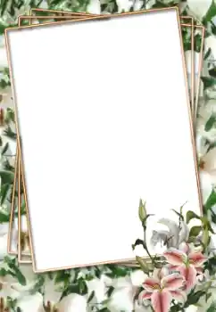 Photo effect from category Women's photo frames № 33703 Photo effect from category Women's photo frames № 33703