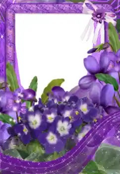 Photo effect from category Women's photo frames № 33734 Photo effect from category Women's photo frames № 33734