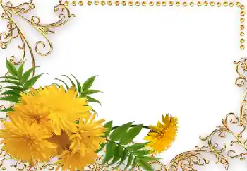 Photo effect from category Women's photo frames № 34042