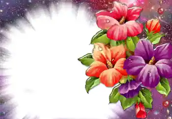 Photo effect from category Women's photo frames № 34074 Photo effect from category Women's photo frames № 34074