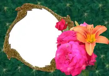 Photo effect from category Women's photo frames № 34688