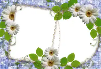 Photo effect from category Women's photo frames № 34745