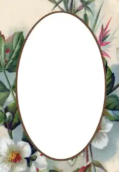 Photo effect from category Women's photo frames № 34845