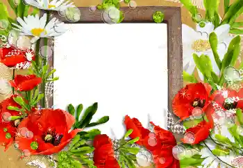 Photo effect from category Women's photo frames № 3491 Photo effect from category Women's photo frames № 3491