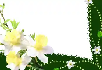 Photo effect from category Women's photo frames № 35016