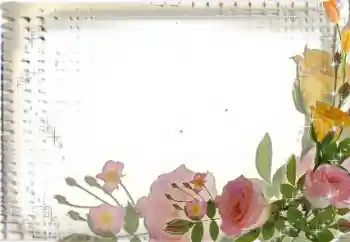 Photo effect from category Women's photo frames № 35017