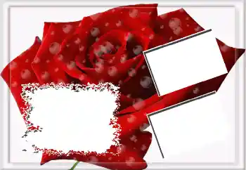 Photo effect from category Women's photo frames № 3592 Photo effect from category Women's photo frames № 3592