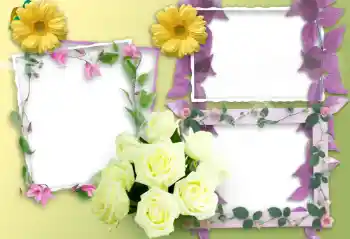 Photo effect from category Women's photo frames № 37138 Photo effect from category Women's photo frames № 37138