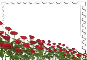 Photo effect from category Women's photo frames № 4162 Photo effect from category Women's photo frames № 4162