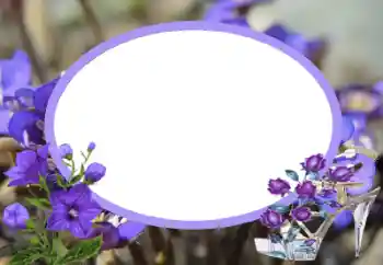 Photo effect from category Women's photo frames № 43545