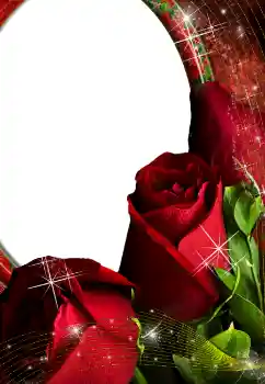 Photo effect from category Women's photo frames № 4603 Photo effect from category Women's photo frames № 4603