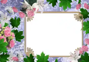 Photo effect from category Women's photo frames № 47030 Photo effect from category Women's photo frames № 47030