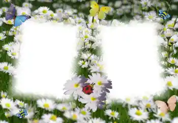 Photo effect from category Women's photo frames № 49398