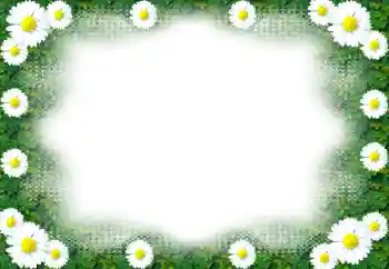 Photo effect from category Women's photo frames № 49443 Photo effect from category Women's photo frames № 49443