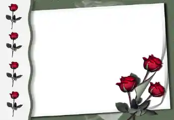 Photo effect from category Women's photo frames № 50854 Photo effect from category Women's photo frames № 50854