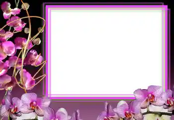 Photo effect from category Women's photo frames № 50856 Photo effect from category Women's photo frames № 50856