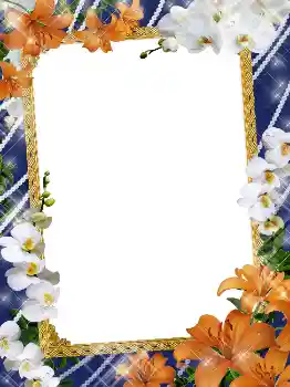 Photo effect from category Women's photo frames № 5141 Photo effect from category Women's photo frames № 5141