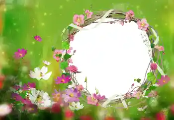 Photo effect from category Women's photo frames № 52077 Photo effect from category Women's photo frames № 52077