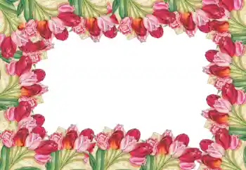Photo effect from category Women's photo frames № 52090 Photo effect from category Women's photo frames № 52090